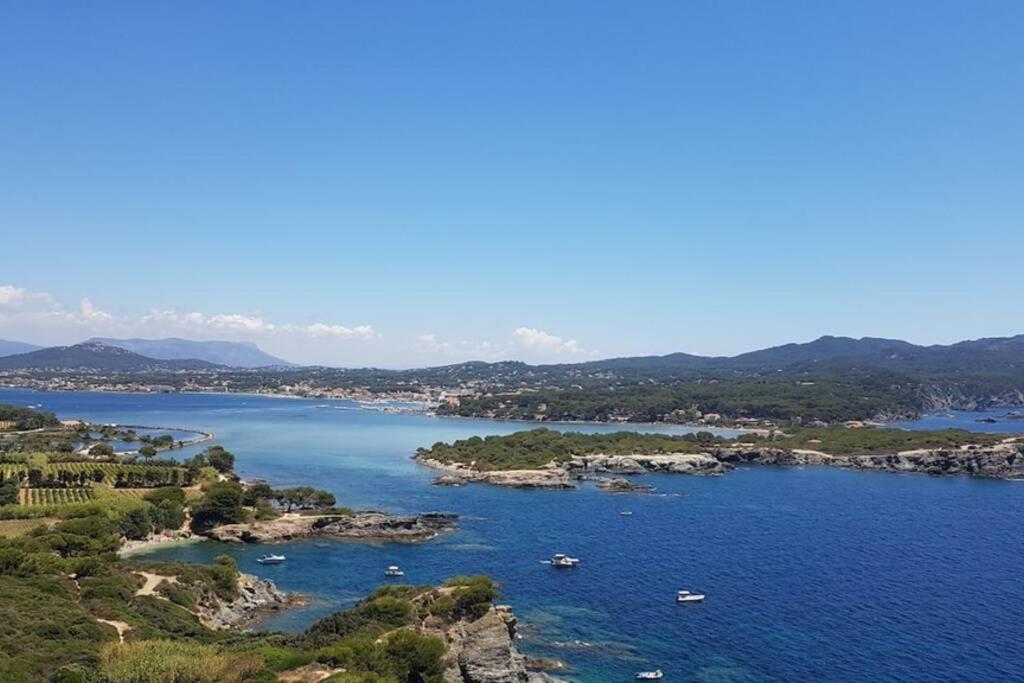 Magnifique Rez De Jardin & Piscine & Bord De Mer Leilighet Six-Fours-les-Plages Eksteriør bilde